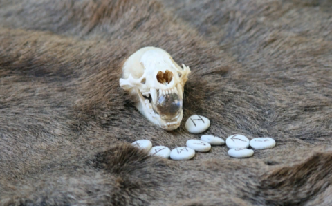 В Поволжье сибиряк убил знакомого из-за оккультного ритуала