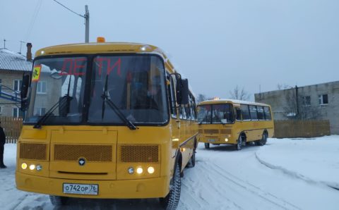В Ярославской области на маршруты вышли новые школьные автобусы