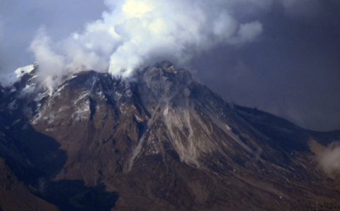 Вулкан Шивелуч «выстрелил» пеплом на 3,5 км