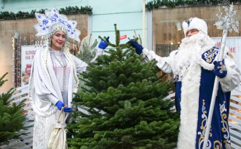 В Москве заработало почти 250 елочных базаров