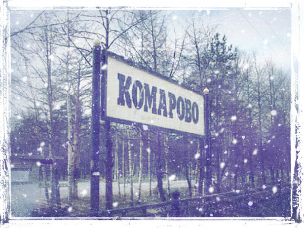 В Петербурге после снегопадов запустили посвященный Беглову флешмоб «Уехал в Комарово»