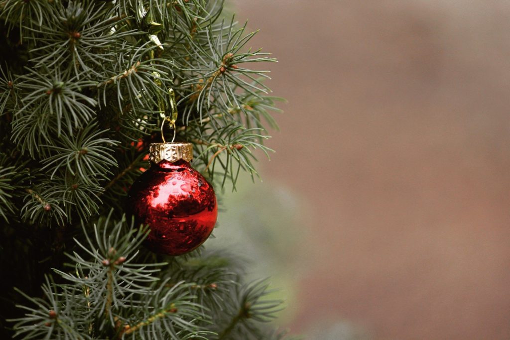 Главную новогоднюю ель Петербурга украсят до 20 декабря