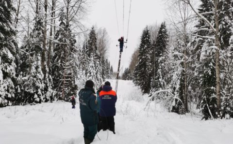 Непогода за ночь обесточила около 400 деревень Новгородской области