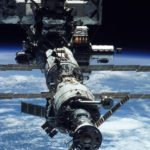 Космонавтам МКС в декабре отправят перепелиные яйца