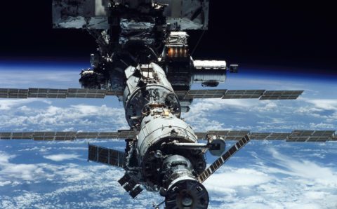 Космонавтам МКС в декабре отправят перепелиные яйца