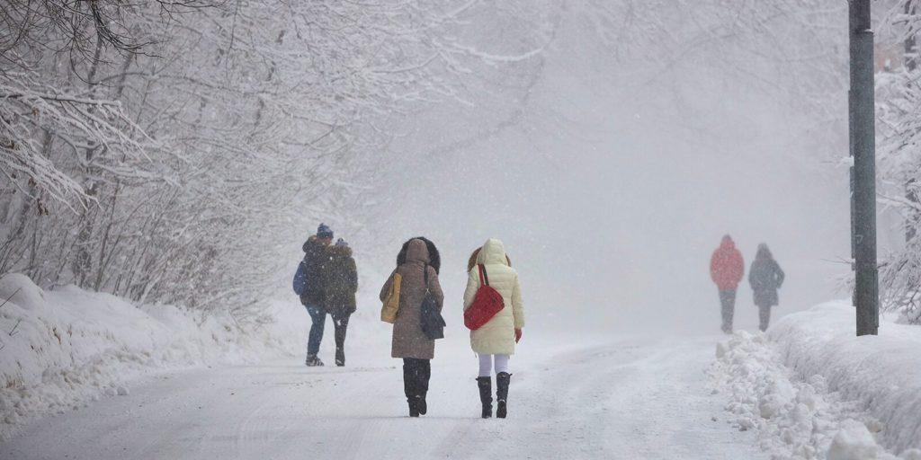 Гидрометцентр: в Москве сегодня ожидаются гололедица и метель