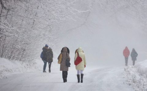 Гидрометцентр: в Москве сегодня ожидаются гололедица и метель
