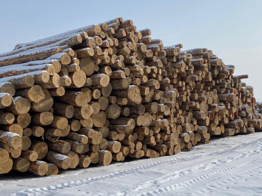 Российские таможенники предотвратили вывоз крупной партии леса в Китай