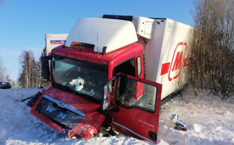Трое человек погибли при столкновении иномарки с грузовиком в Ивановской области