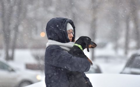 Синоптики прогнозируют в Москве небольшой снег и минусовую температуру