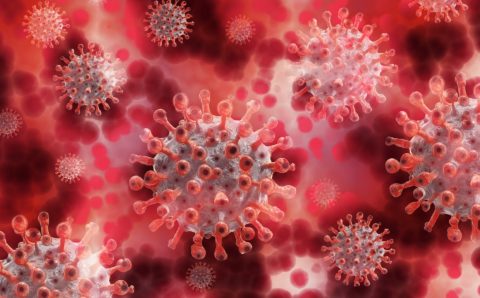 Штамм коронавируса «омикрон» выявили в Приморье