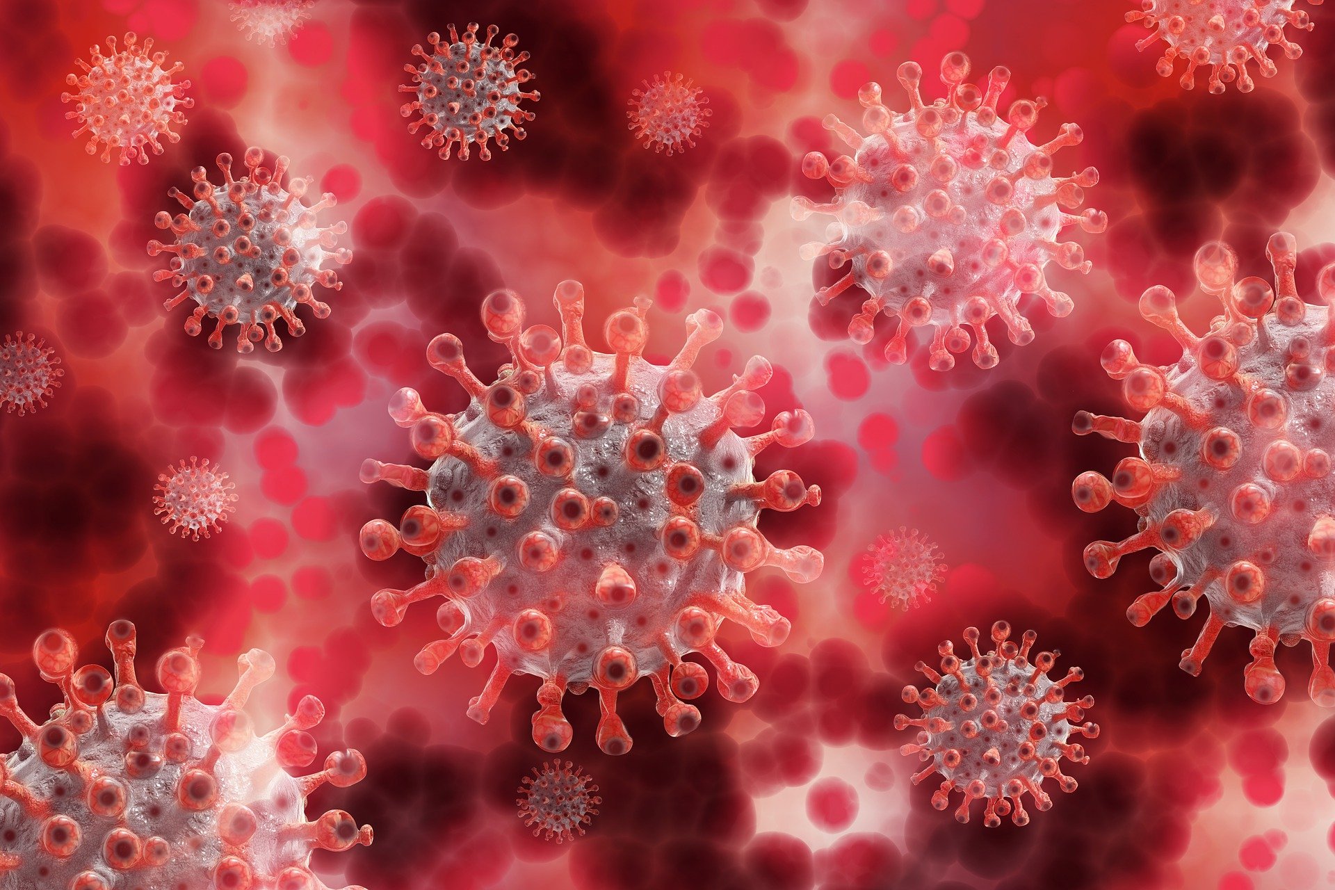 Штамм коронавируса «омикрон» выявили в Приморье