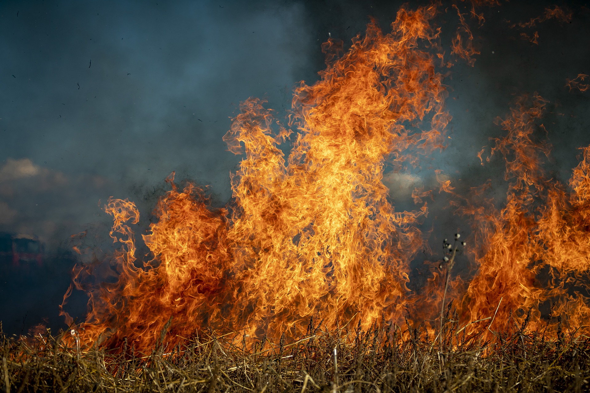 Учиненный в лесу пожар обойдётся жителю Якутии в 6 млн рублей