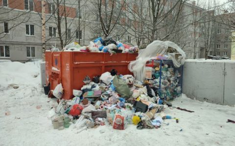 Около двухсот жалоб на неубранный мусор принял Смольный за сутки