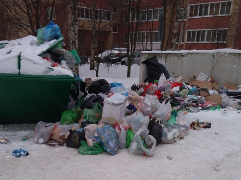 Беглов несправедливо обвинил в мусорном коллапсе в Петербурге бывшего подрядчика