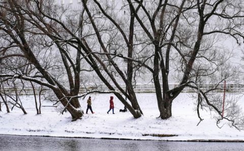 Синоптики предупредили москвичей о небольшом потеплении