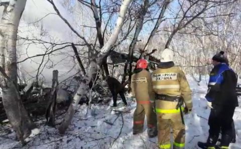 Прокуратура проверит падение Ан-2 в Елизовском районе Камчатки