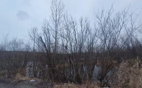 Пять красноярцев пошли под суд за жестокое убийство школьницы