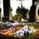 В Азербайджан доставлены тела братьев Сафаровых для захоронения