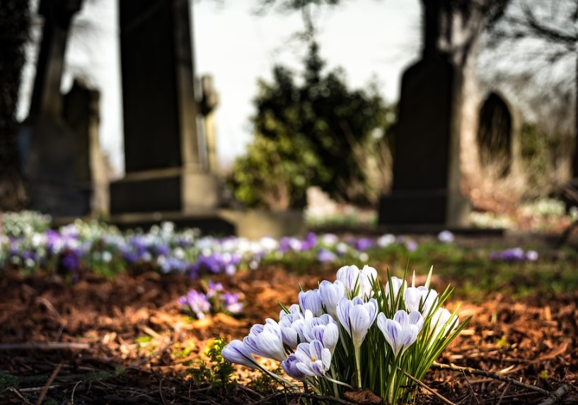 Le Monde: Французский город не будет продлевать аренду мест на кладбище, где похоронены Бунин и Гиппиус