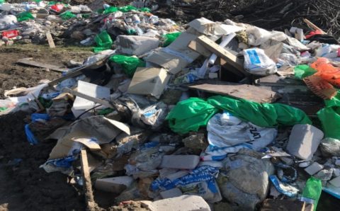 В Краснодаре обнаружили незаконную свалку на четыре тысячи «квадратов»