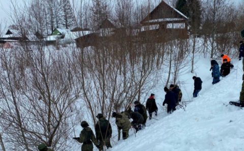 Появились подробности поисков погибшей в Новгородской области 2-летней девочки