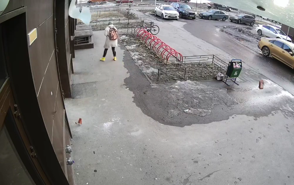 В Петербурге ищут хулиганов, сбросивших на прохожую кирпич с 19 этажа