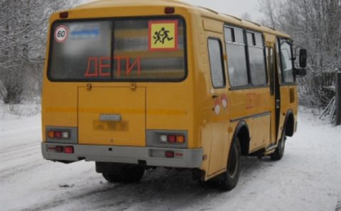 Восьмилетняя девочка угодила под колеса школьного автобуса, скатившись с сугроба в Ленобласти