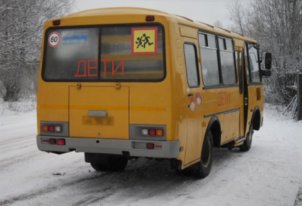 Восьмилетняя девочка угодила под колеса школьного автобуса, скатившись с сугроба в Ленобласти