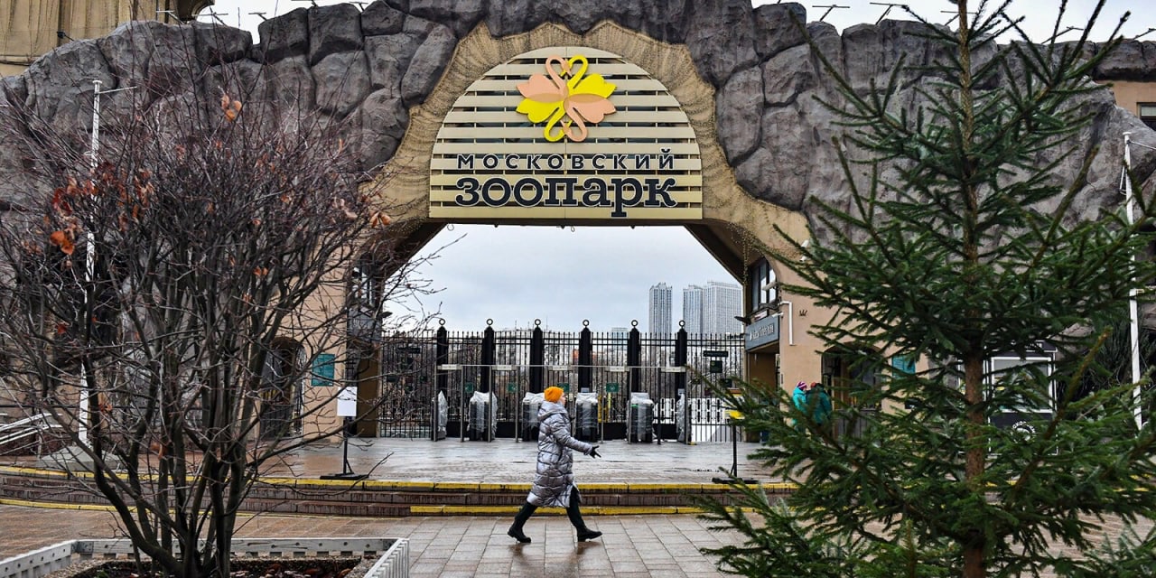 Новый вход и обновленный пешеходный мост открыли в Московском зоопарке