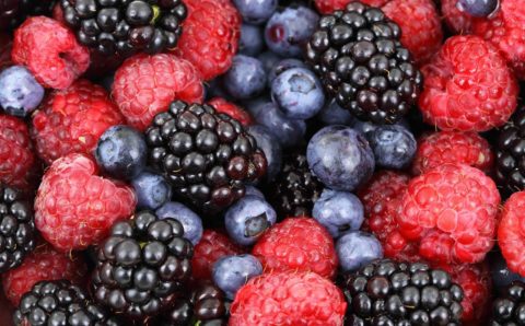 Кабардино-Балкария готова поставить в РФ 400 тыс. тонн плодов и ягод