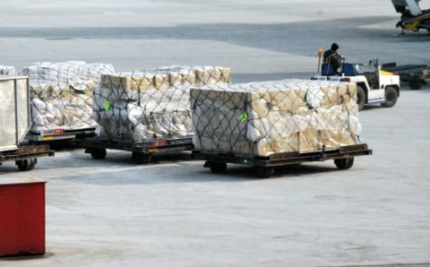 МЧС России доставило жителям Донбасса более 300 тонн гуманитарной помощи