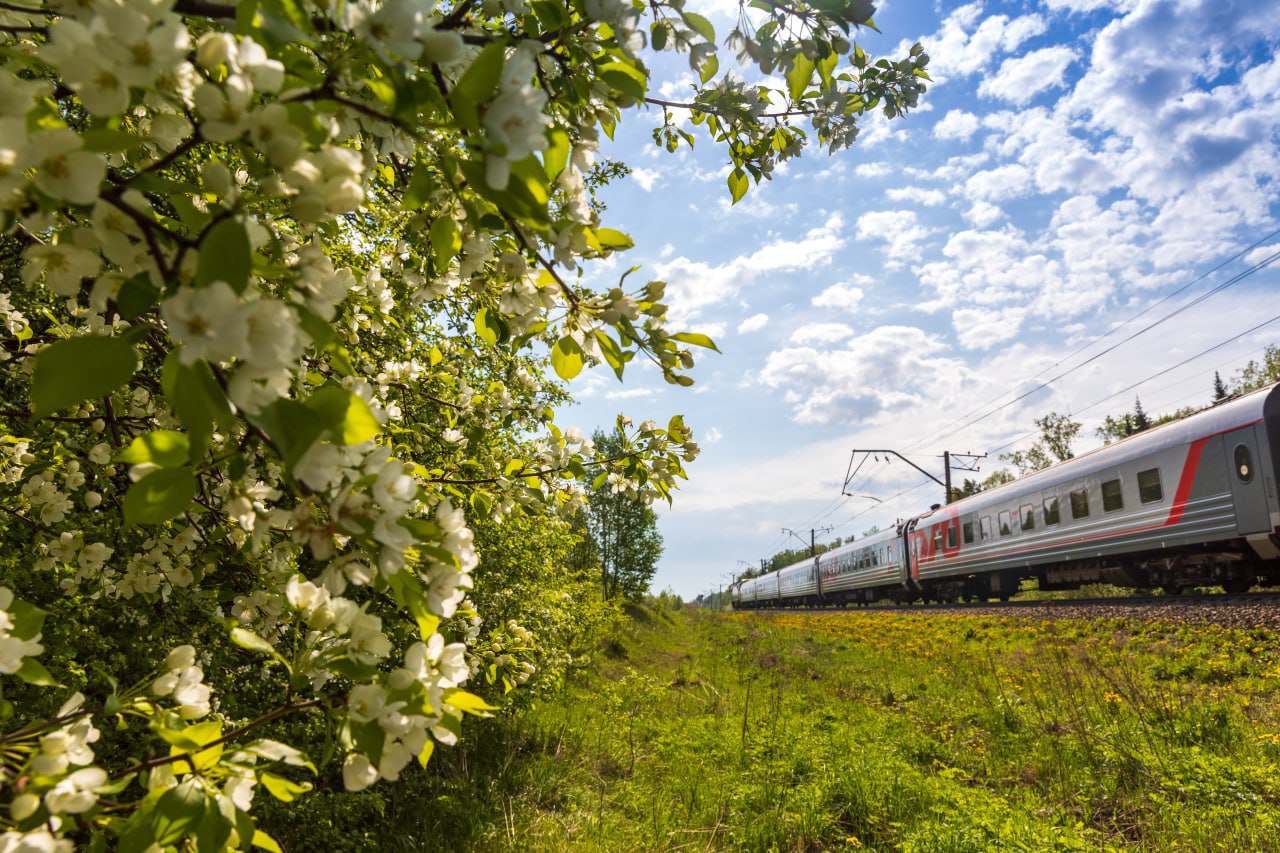 РЖД назначили 400 дополнительных поездов на майские праздники