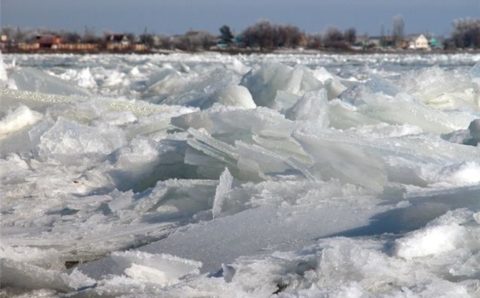 Во Владивостоке наградят студентов, которые спасли тонущих детей