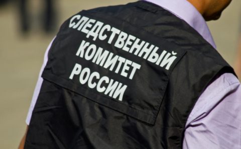 СК возбудит дело в отношении украинской телеведущей, угрожавшей российским лётчикам