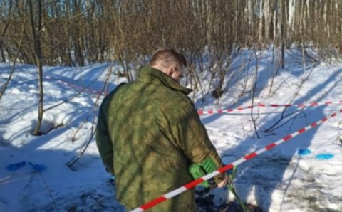 В Московском лесу обнаружено два обгоревших человеческих тела