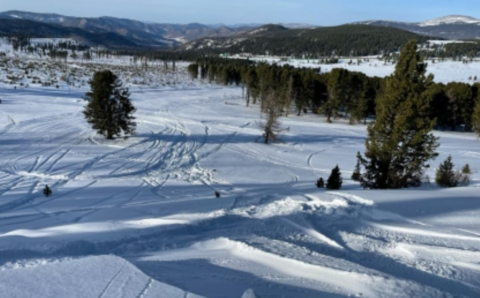 Маленькая сноубордистка погибла на Алтае, не сумев выбраться из сугроба