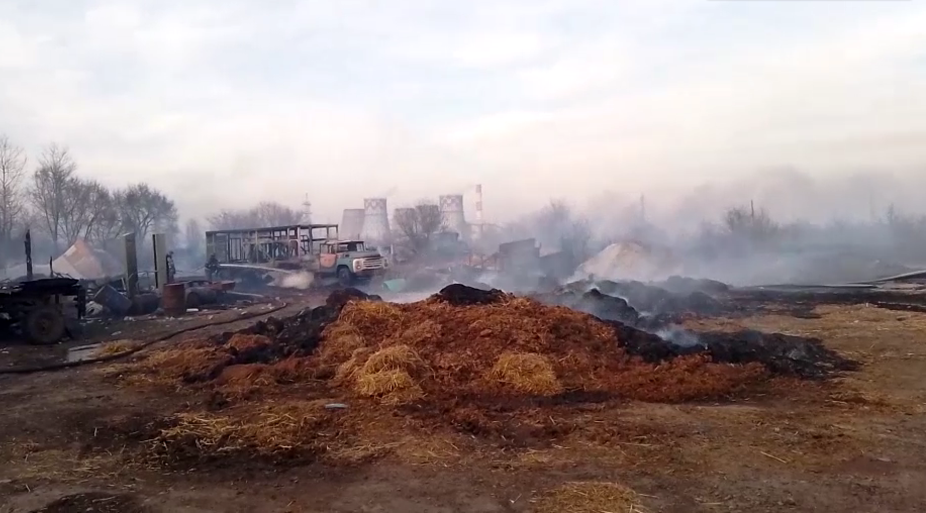 В Хакасии сгорела свиноферма