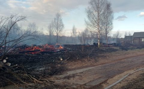 Сразу десять домов сгорели в новгородской деревне