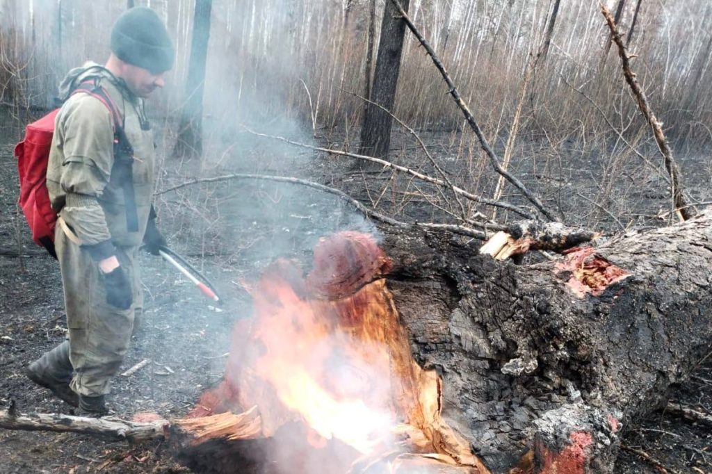 Десять лесных пожаров тушат в Приангарье