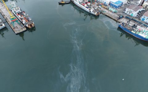 Нефтяное пятно растянулось в Авачинской бухте
