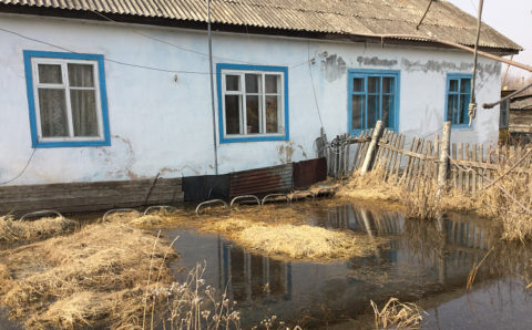 После стрельбы в приморском селе возбудили дело об убийстве
