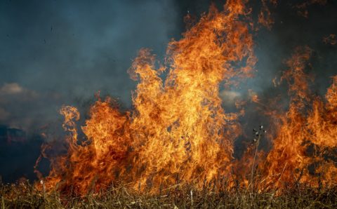 Пожарные всю ночь отгоняли пламя от села в Иркутской области