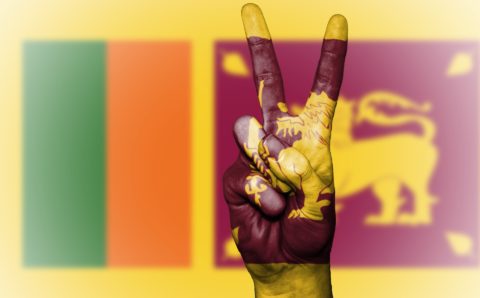 Шри-Ланка попросила у РФ помощи в преодолении сильнейшего энергического кризиса