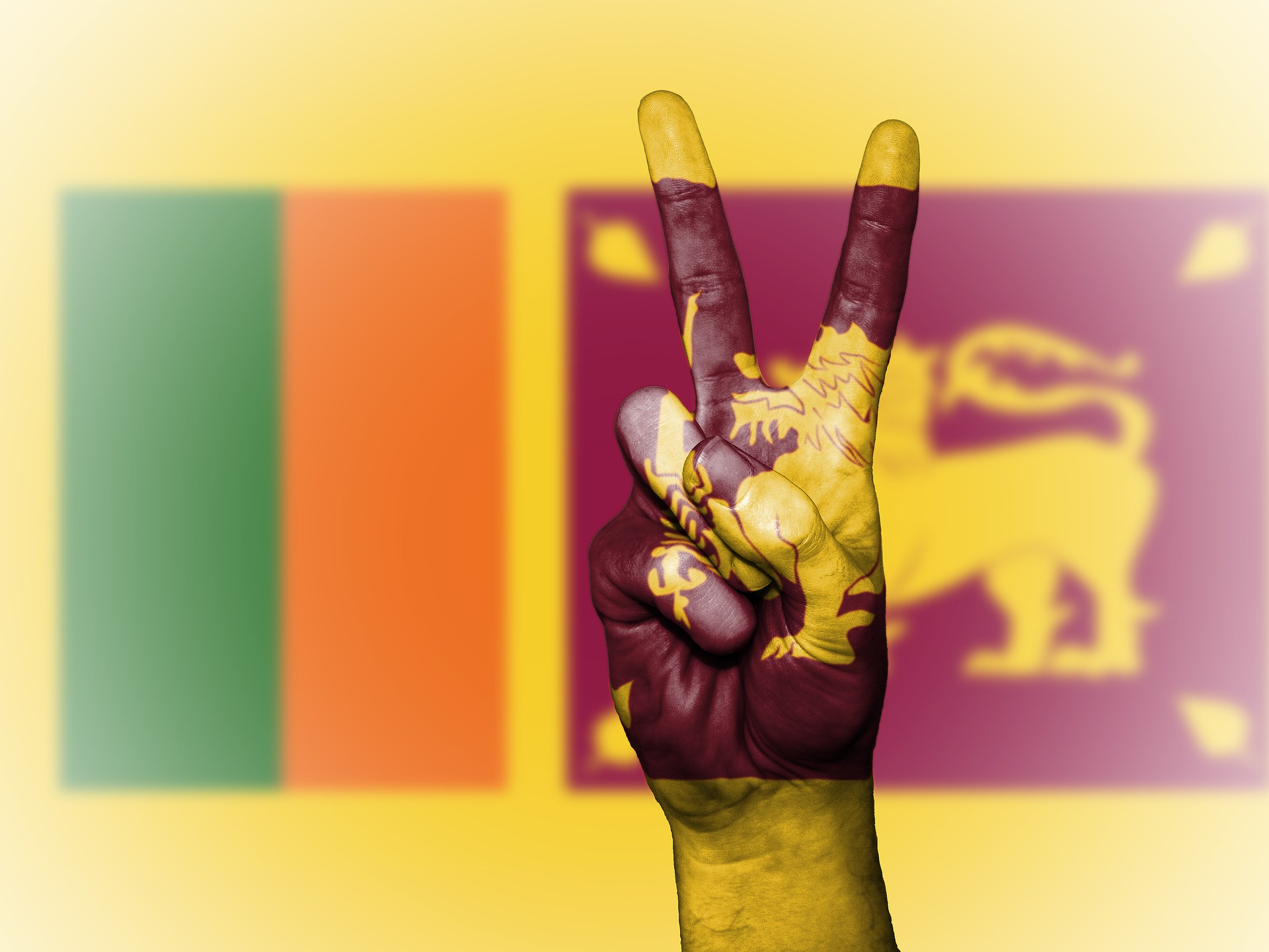 Шри-Ланка попросила у РФ помощи в преодолении сильнейшего энергического кризиса