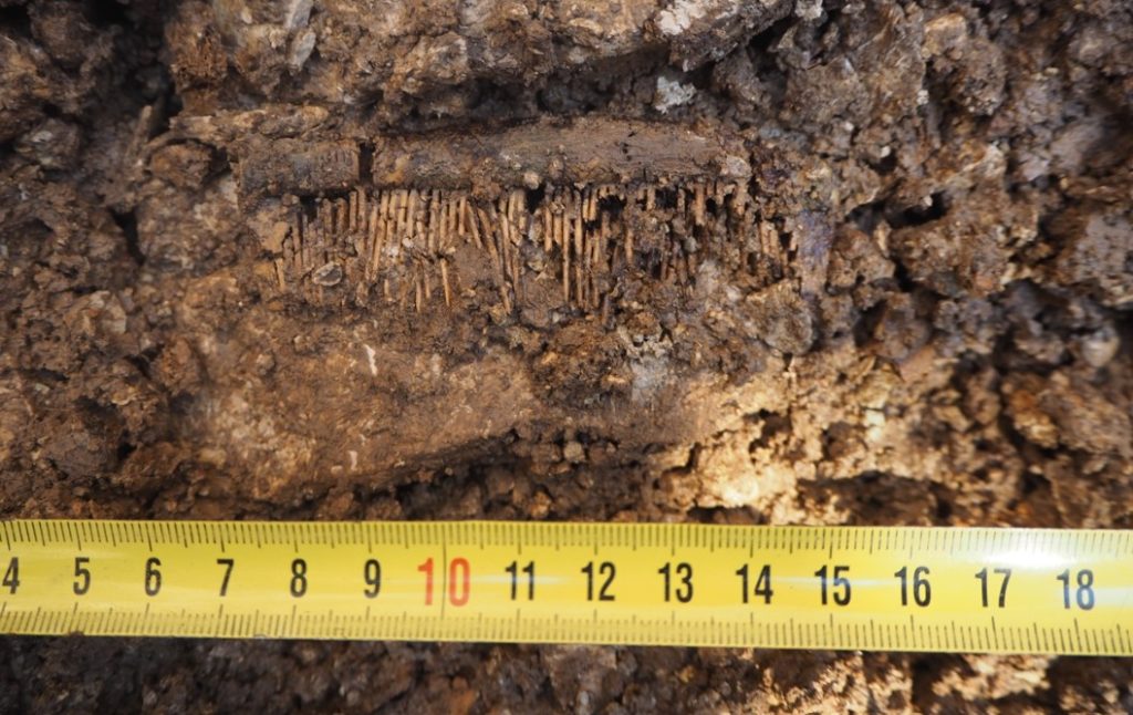 Археологи обнаружили у Псково-Печерского монастыря погребение Х века
