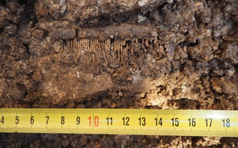 Археологи обнаружили у Псково-Печерского монастыря погребение Х века