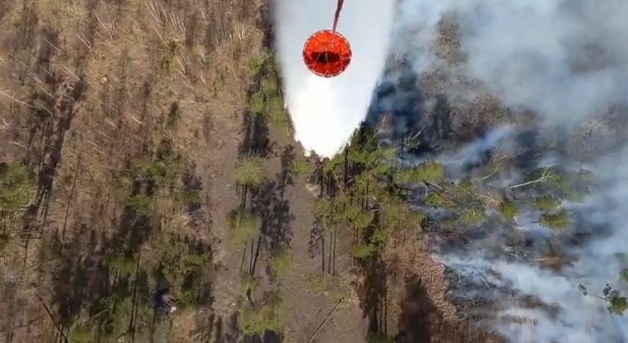 Курганская область увеличила число спасателей для борьбы с лесными пожарами