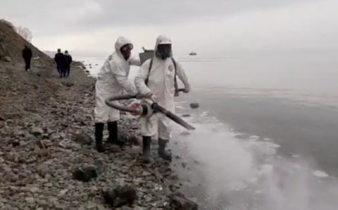 На Камчатке не допустили разлива нефтепродуктов в Авачинской бухте