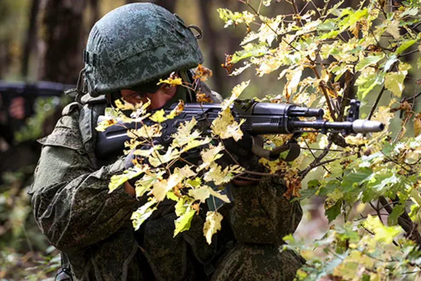 Командование ВСУ направило под Лисичанск боевиков «Правого сектора»*